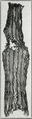 Veil (?), Linen, Coptic