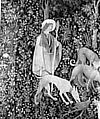 Preparing to Undo the Stag in the Field (From Incidents in a Stag Hunt), Wool warp, wool wefts, South Netherlandish