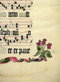 Manuscript Leaf with the Initial M, from an Antiphonary, Tempera, ink, and metal leaf on parchment, German