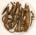 Fragments, Iron, Coptic
