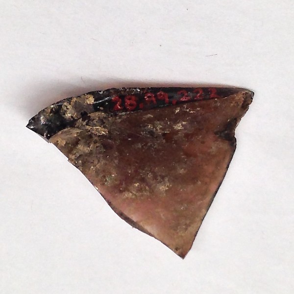 Fragment