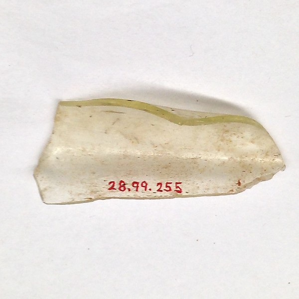 Fragment