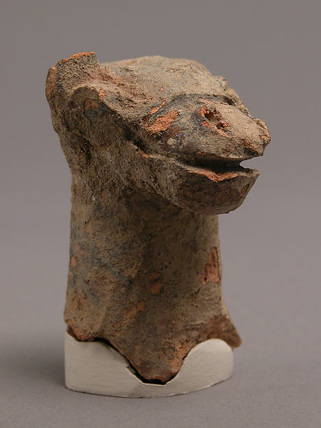 Head of Camel