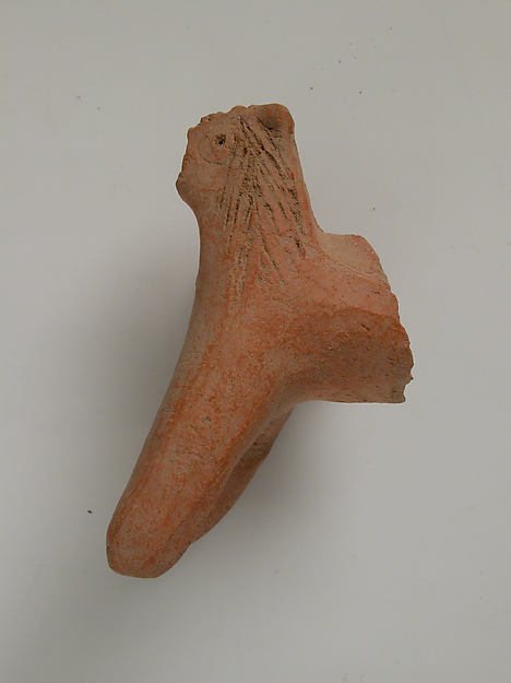 Fragment of an Animal
