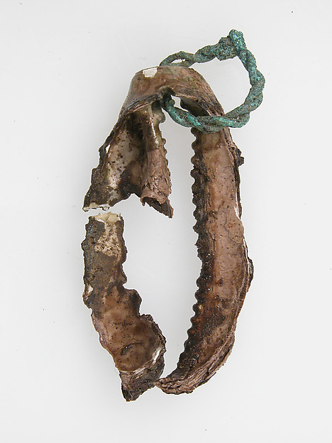 Shell with wire ring by an unrecorded maker, The Metropolitan Museum of Art