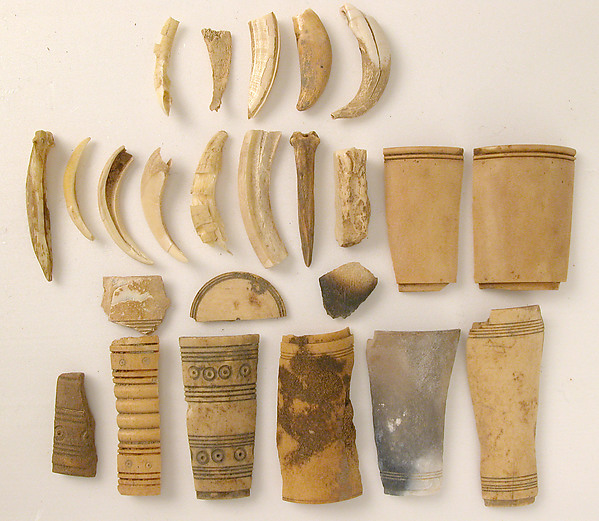 Bone Fragments