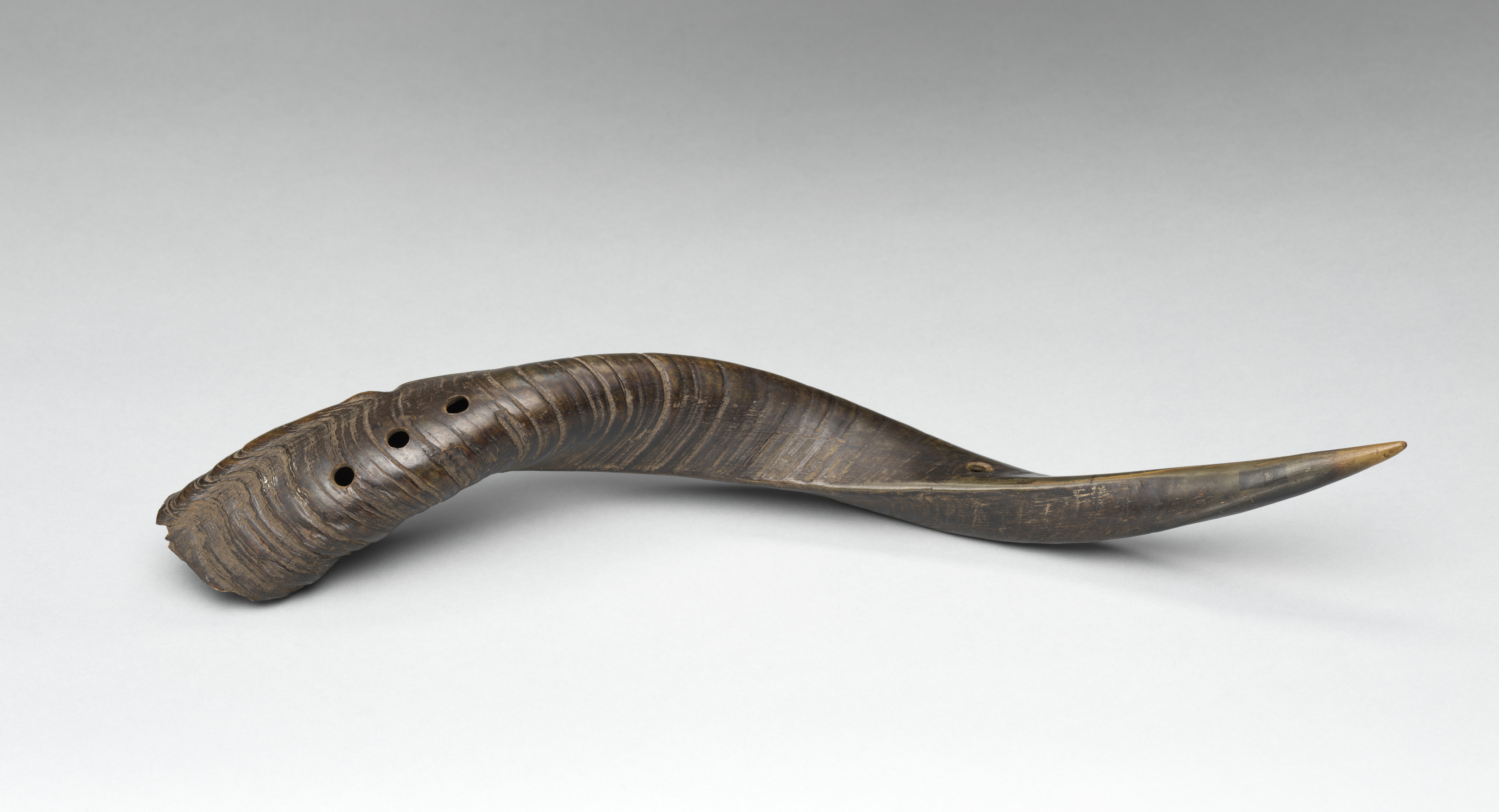 Horn | African | The Metropolitan Museum of Art