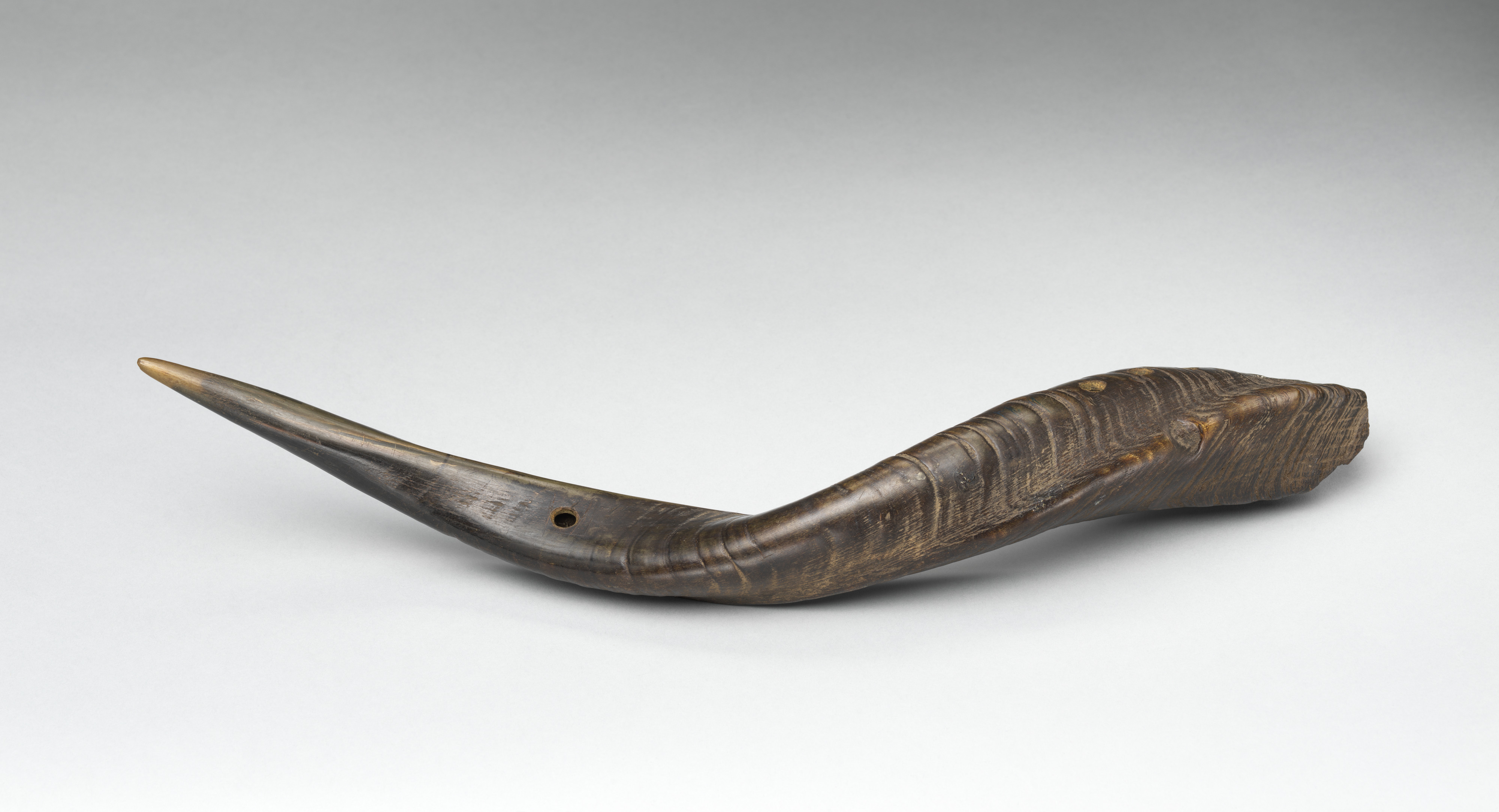 Horn | African | The Metropolitan Museum of Art