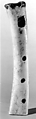 Bone Flute, Bone, wax, Costa Rican