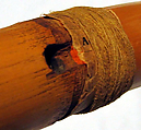 Flute (