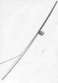 Quijongo (Musical Bow), Wood, wire, gourd, Native American (Costa Rican) African