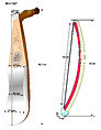 Rabāb, wood, mother-of-pearl, gut, skin, bone, Algerian or Moroccan