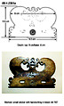 Viol Bridge and Tail-Piece, Ivory, Italian