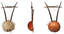 Lyre, Wood, horn, gourd, skin, Ugandan or Kenyan