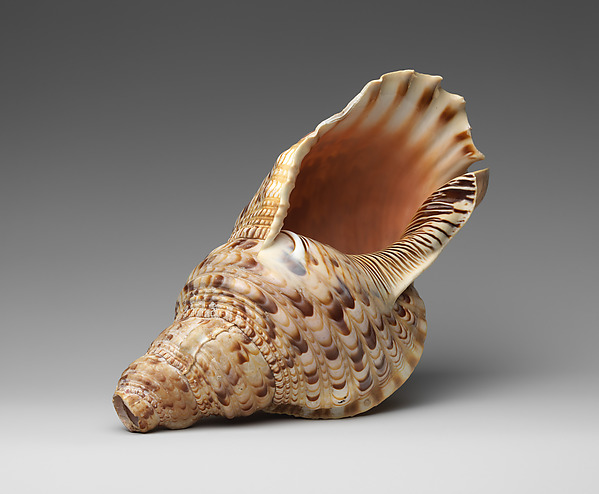 Conch Shell Trumpet by an unrecorded maker, The Metropolitan Museum of Art
