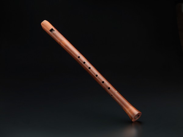 Tenor Violin — view 1