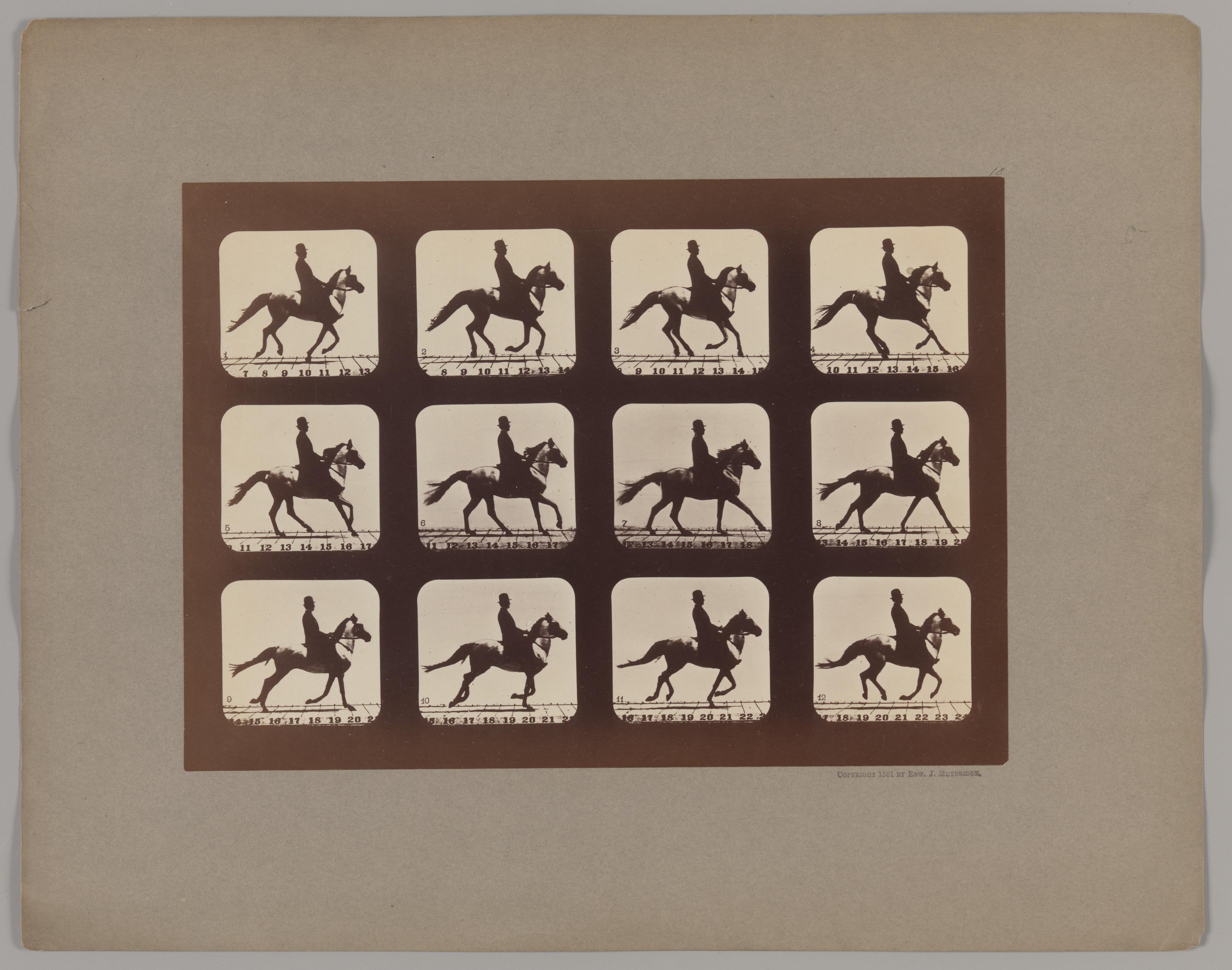 Eadweard Muybridge | Attitudes of Animals in Motion | The Metropolitan  Museum of Art