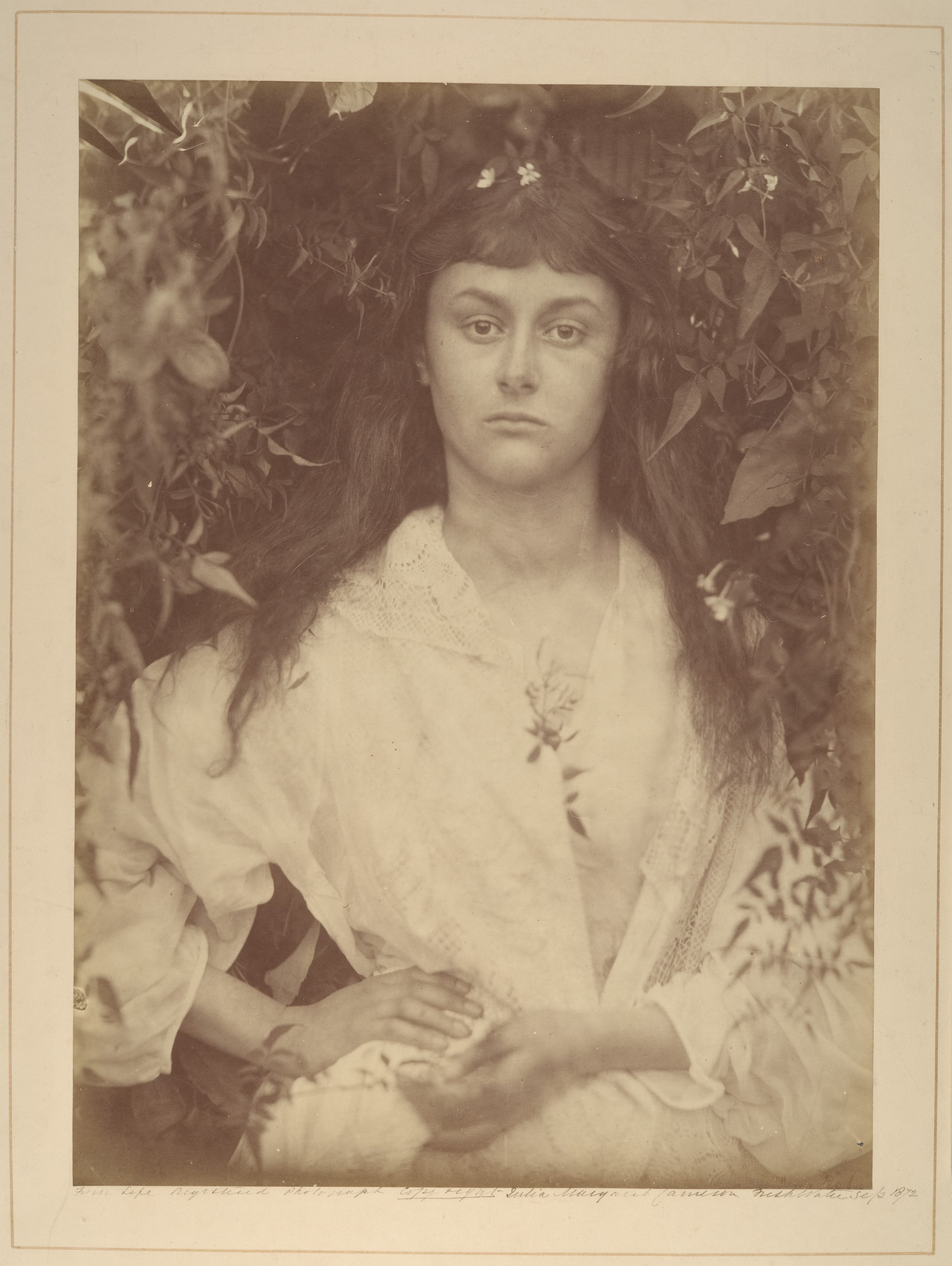 Julia Margaret Cameron | Pomona | The Metropolitan Museum of Art