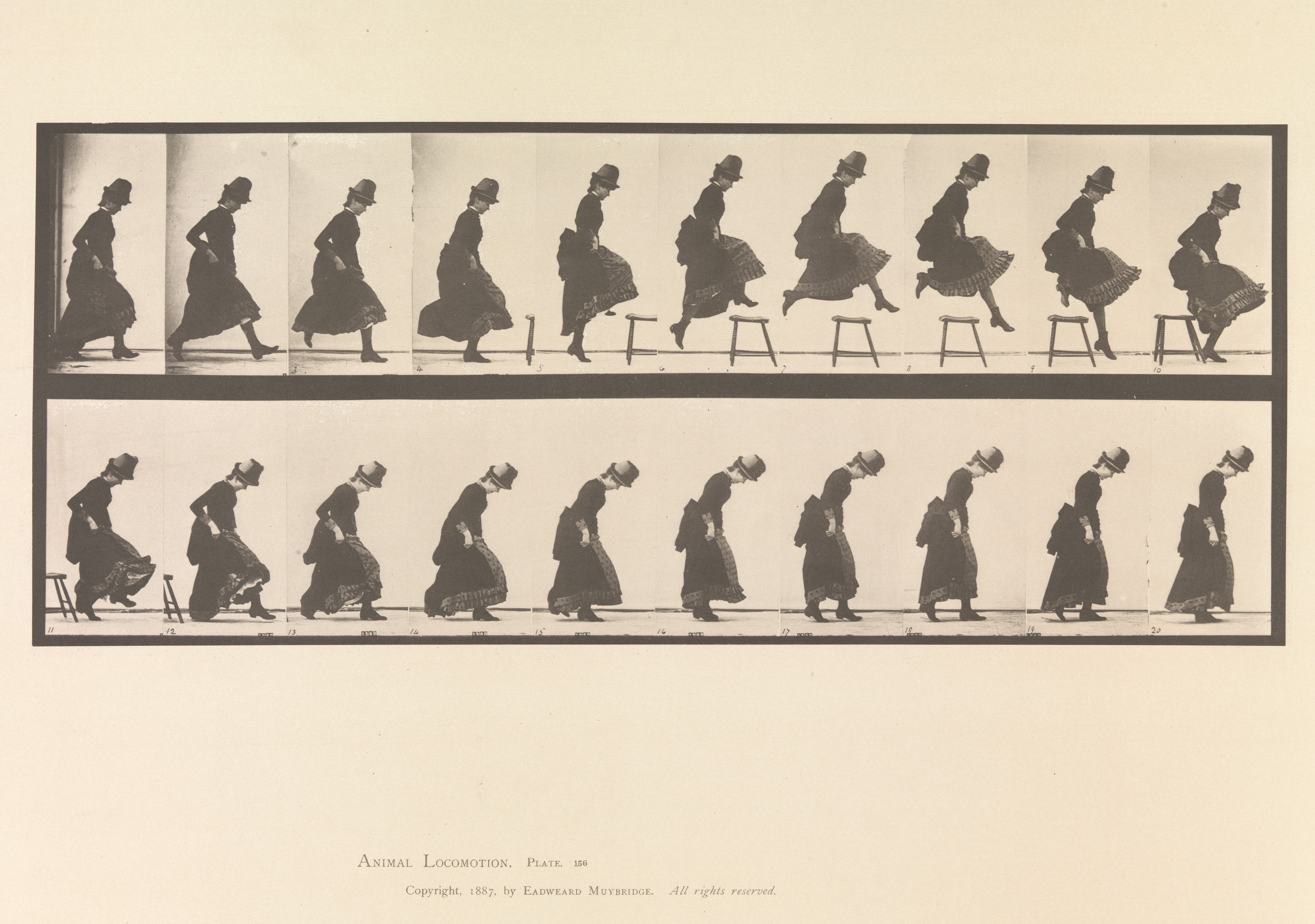 Eadweard Muybridge | Animal Locomotion. An Electro-Photographic Investigation... of Animal ...