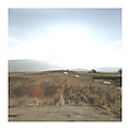 The 49 States, Matthew Jensen (American, born 1980), Chromogenic prints