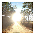 The 49 States, Matthew Jensen (American, born 1980), Chromogenic prints