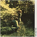 [Jerry Thompson and Jane Corrigan Pruning a Tree], Walker Evans  American, Instant internal dye diffusion transfer print (Polaroid SX-70)