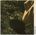 [Walker Evans's Foot], Walker Evans  American, Instant internal dye diffusion transfer print (Polaroid SX-70)