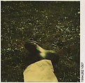 [Walker Evans's Foot], Walker Evans  American, Instant internal dye diffusion transfer print (Polaroid SX-70)