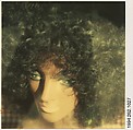 [Head of Mannequin: Afro Wig], Walker Evans  American, Instant internal dye diffusion transfer print (Polaroid SX-70)