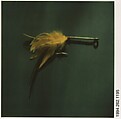 [Salmon Fly], Walker Evans  American, Instant internal dye diffusion transfer print (Polaroid SX-70)