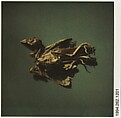 [Bird Skeleton], Walker Evans  American, Instant internal dye diffusion transfer print (Polaroid SX-70)