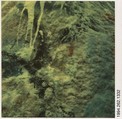 [Graffitied Rock, Oberlin, Ohio], Walker Evans  American, Instant internal dye diffusion transfer print (Polaroid SX-70)