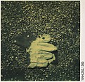 [White Workglove Embedded in Pavement], Walker Evans  American, Instant internal dye diffusion transfer print (Polaroid SX-70)