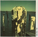 [Dock Piling], Walker Evans  American, Instant internal dye diffusion transfer print (Polaroid SX-70)