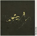 [Paint Splatterings on Street], Walker Evans  American, Instant internal dye diffusion transfer print (Polaroid SX-70)