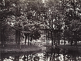 Stream of Armenonville, Bois de Boulogne, Charles Marville  French, Albumen silver print from glass negative