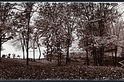 Shad Knoll, John Yang (American, born China, Suchow 1933–2009 New York), Gelatin silver print