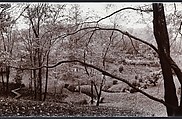 Shad Knoll, John Yang (American, born China, Suchow 1933–2009 New York), Gelatin silver print