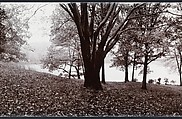 Shad Knoll, John Yang (American, born China, Suchow 1933–2009 New York), Gelatin silver print
