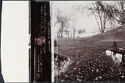 Serpent, John Yang (American, born China, Suchow 1933–2009 New York), Gelatin silver print
