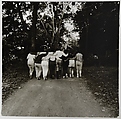 Camp Lakecrest campers walking away, Dutchess County, N.Y. , Diane Arbus American, Gelatin silver print