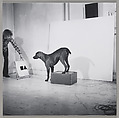 Before/On/After: Permutations I, William Wegman (American, born 1943), Gelatin silver prints