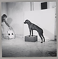 Before/On/After: Permutations I, William Wegman (American, born 1943), Gelatin silver prints