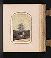 [Carte-de-visite Album of Central Park Views], Stacy&#39;s Photographic Carte de Visite (American, active 1860s), Albumen silver prints, gouache, varnish