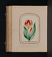 [Carte-de-visite Album of Central Park Views], Stacy&#39;s Photographic Carte de Visite (American, active 1860s), Albumen silver prints, gouache, varnish
