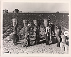 Pea Pickers Line Up on Edge of Field at Weigh Scale, near Calipatria, Imperial Valley, California, February, Dorothea Lange  American, Gelatin silver print