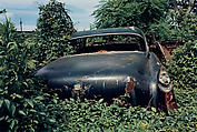 Untitled (Back of Black Car in Green Vines), William Eggleston  American, Dye transfer print