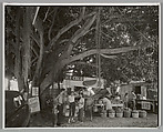 Fruit Market Under Banyan Tree, South Dixie Highway, Miami Florida, Berenice Abbott American, Gelatin silver print