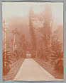 Hong Kong Cemetery, Adolf de Meyer  American, born France, Gelatin silver print