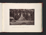 Native Pagoda and Coconut Grove at Penang, John Thomson British, Scottish, Albumen silver print from glass negative